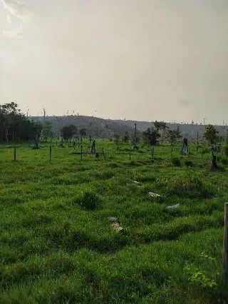 FAZENDA REGIAO DE CAJAZEIRAS ITUPIRANGA-PARÁ - Foto 4