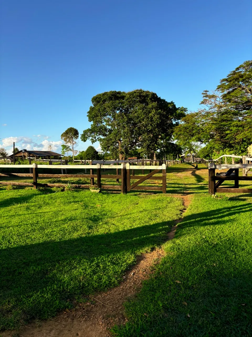 Fazenda a venda, valor : 1.800.000