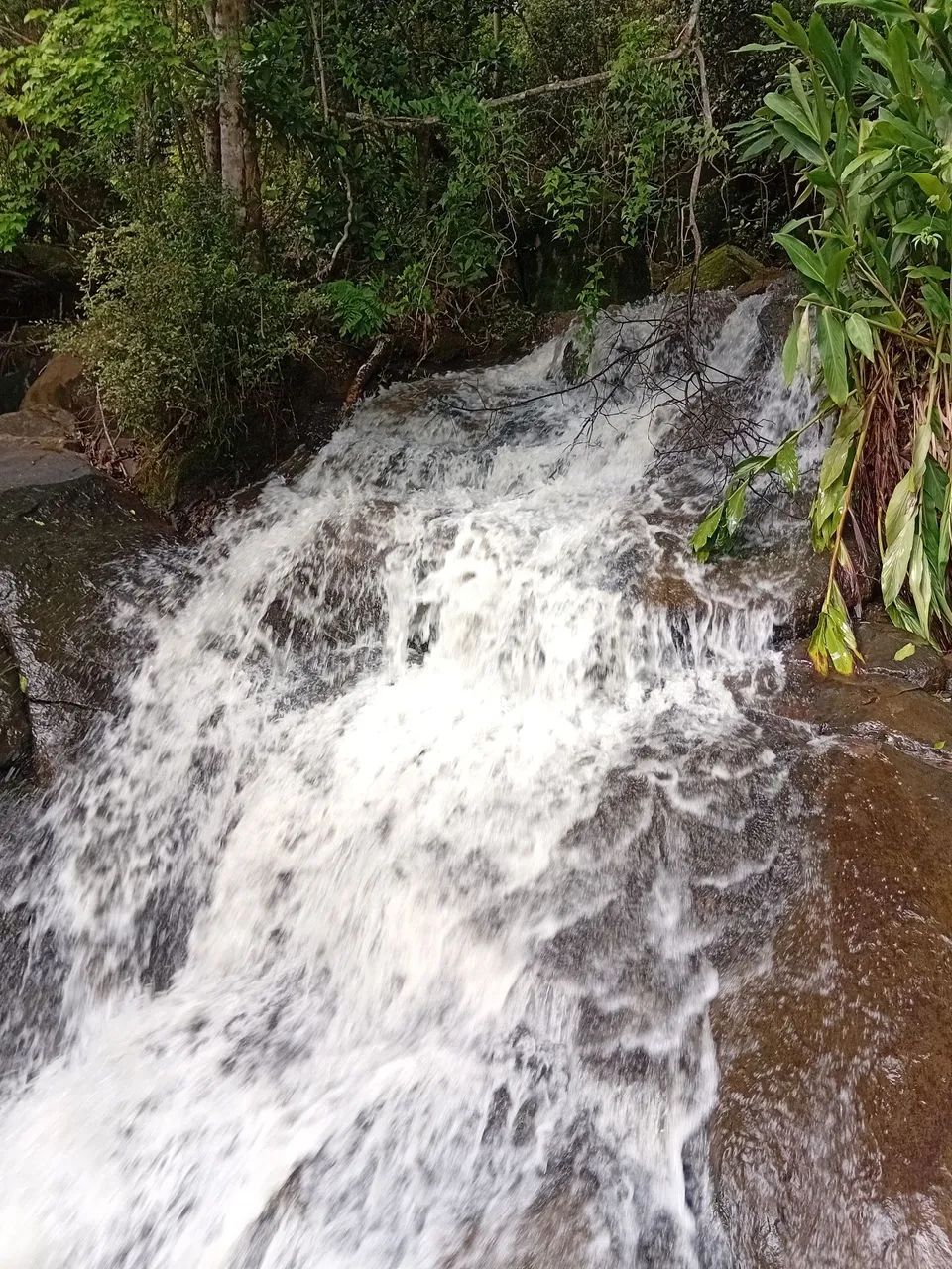 Foto - Sorocaba - Jardim Santo André