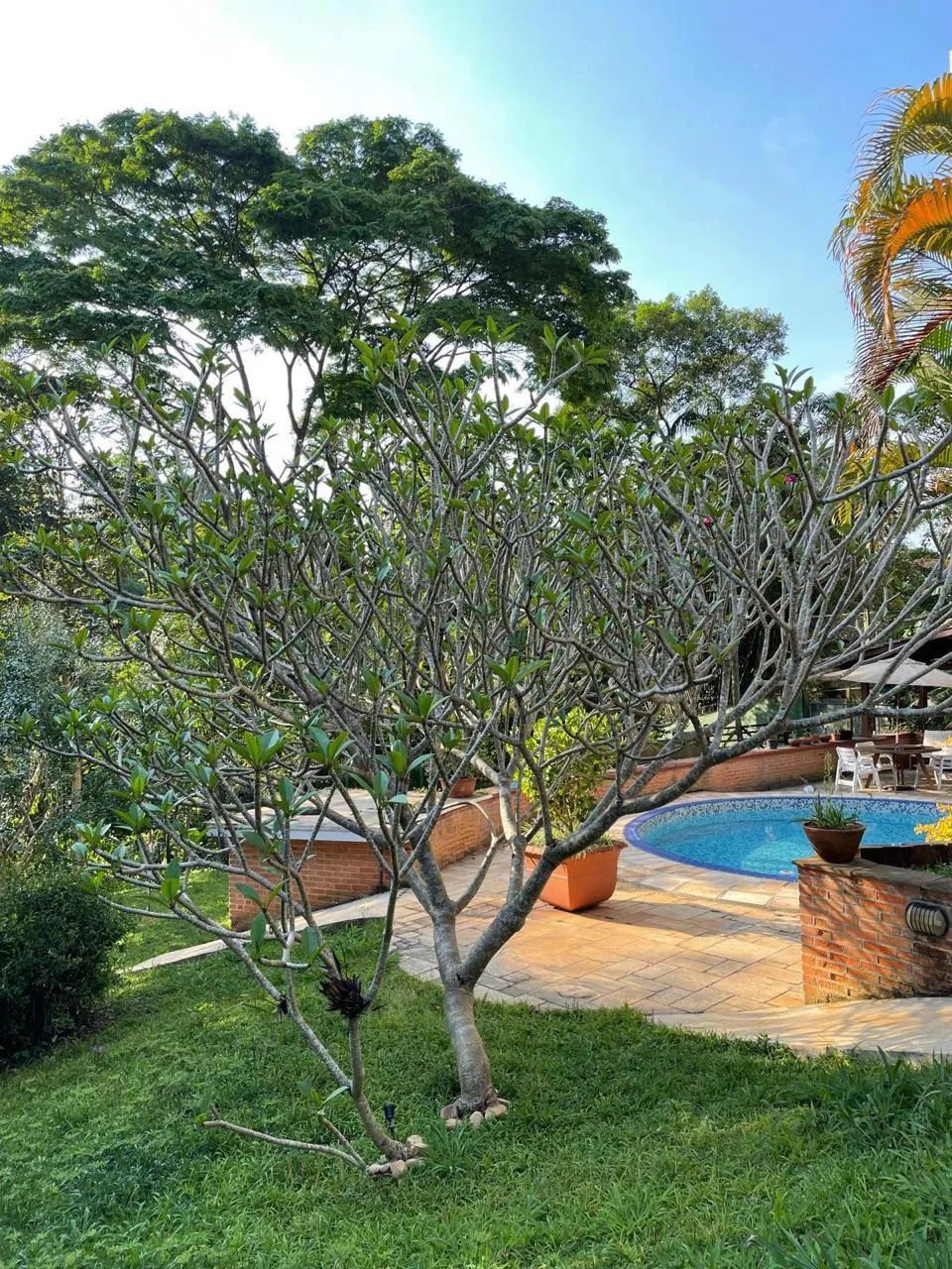 Casa no condomínio Condomínio Granja Velha para locação com 5 quartos, sendo 2 suítes, 369 - Foto 3