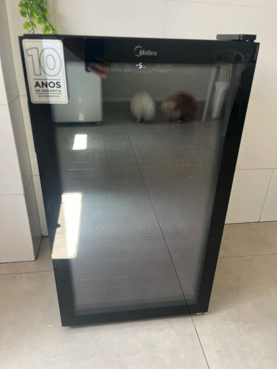 Cervejeira  - Foto 4