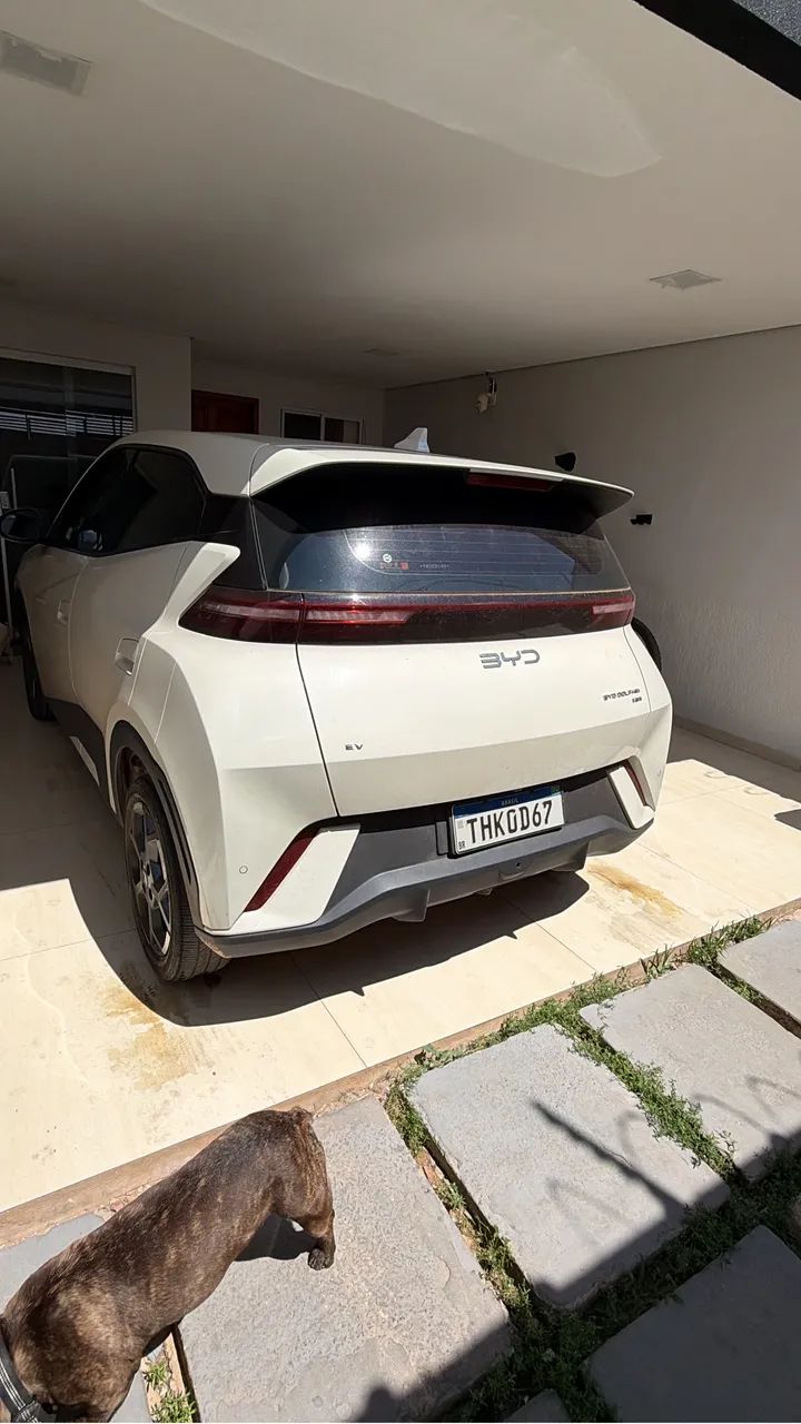 BYD Dolphin Mini (Elétrico) 2026 - Foto 5