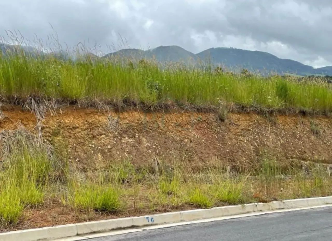 Terrenos Loteamento em Andradas - Foto 4