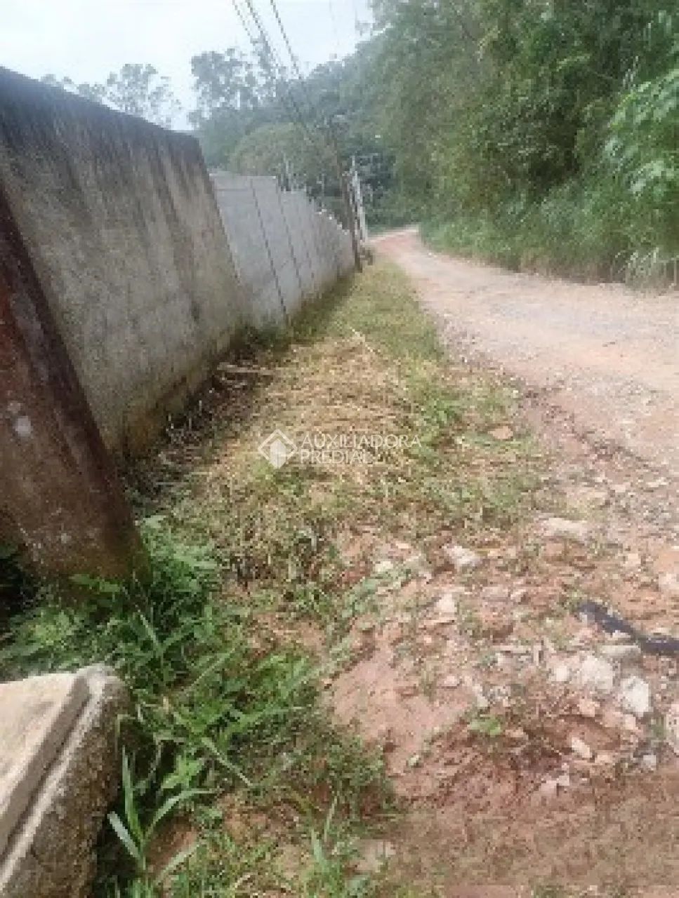 Terreno para Alugar, Tanque Caio - Foto 2