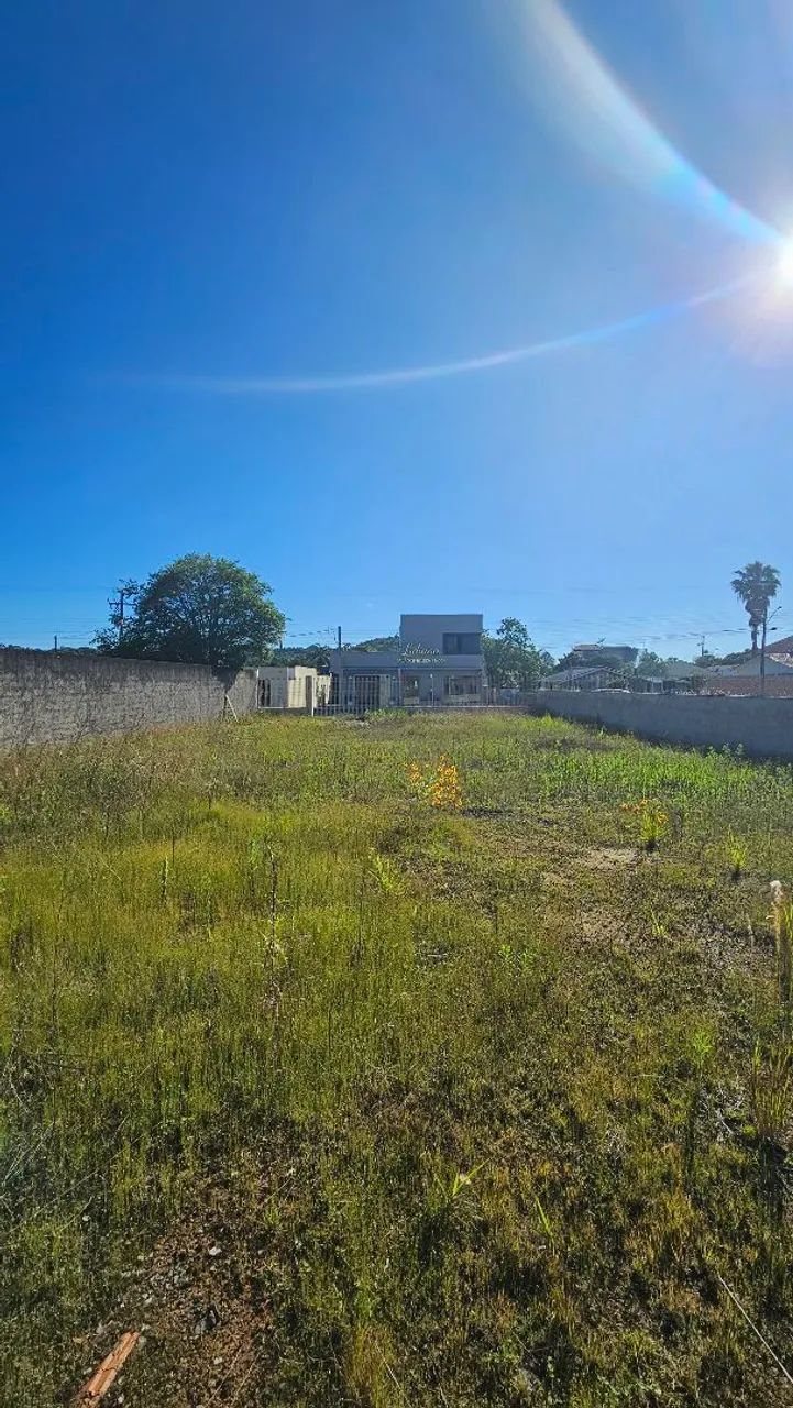 LOTE CENTRO REBOUÇAS  - Foto 3