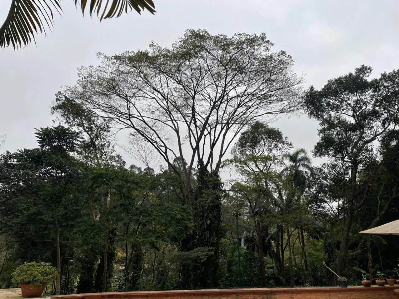 Casa no condomínio Condomínio Granja Velha para locação com 5 quartos, sendo 2 suítes, 369 - Foto 10