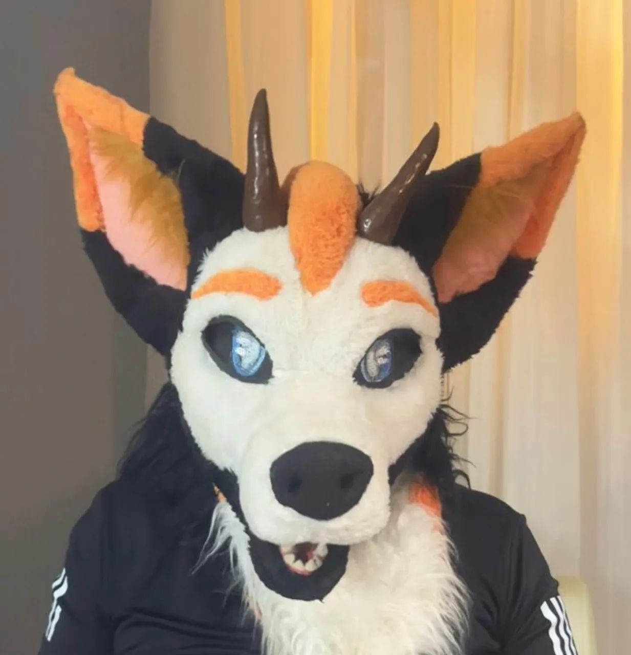 Fursuit partial (cabeça, patas e rabo)  de lobo/dragão