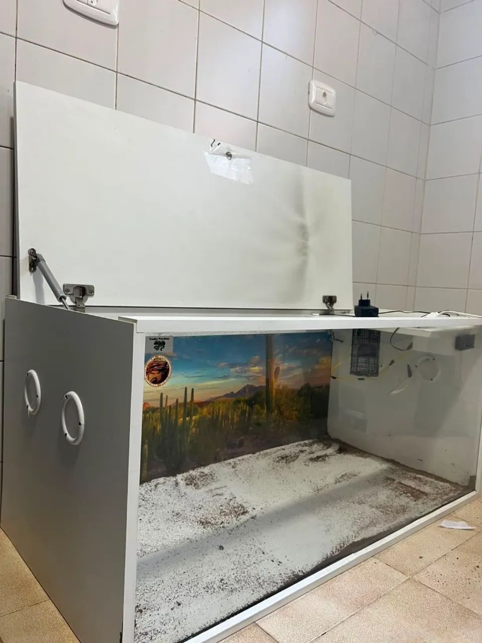 Terrário  - Foto 2
