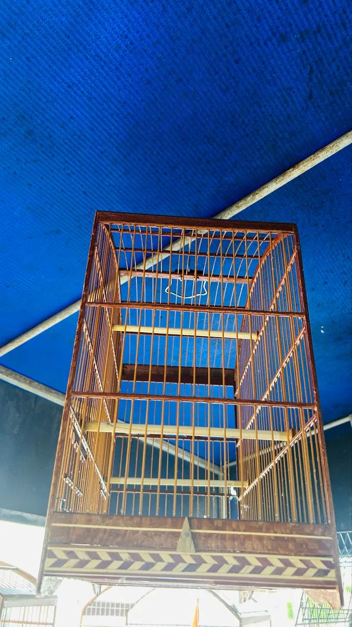 Gaiola nova  - Foto 2