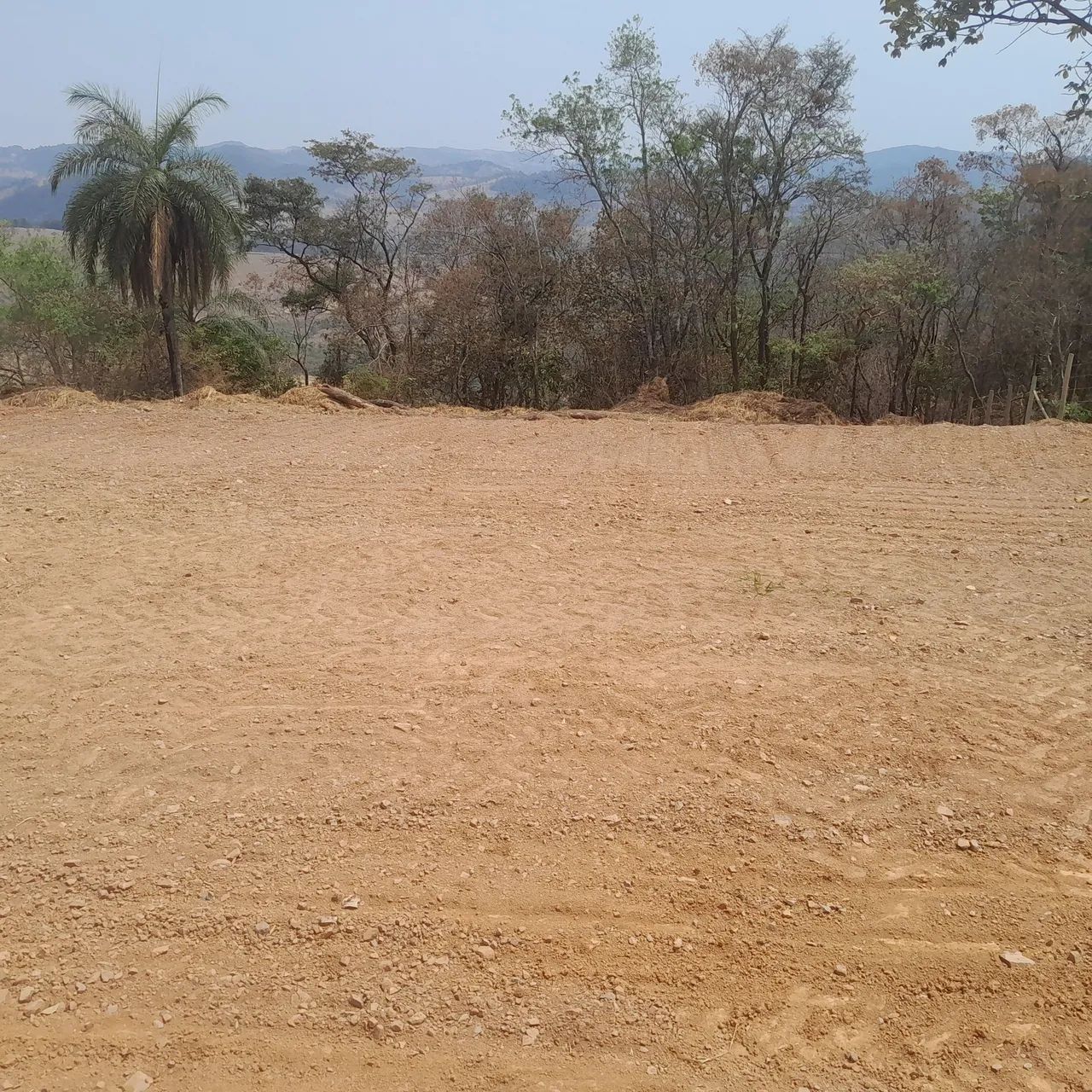 Chacaras rurais em mateus leme  - Foto 4