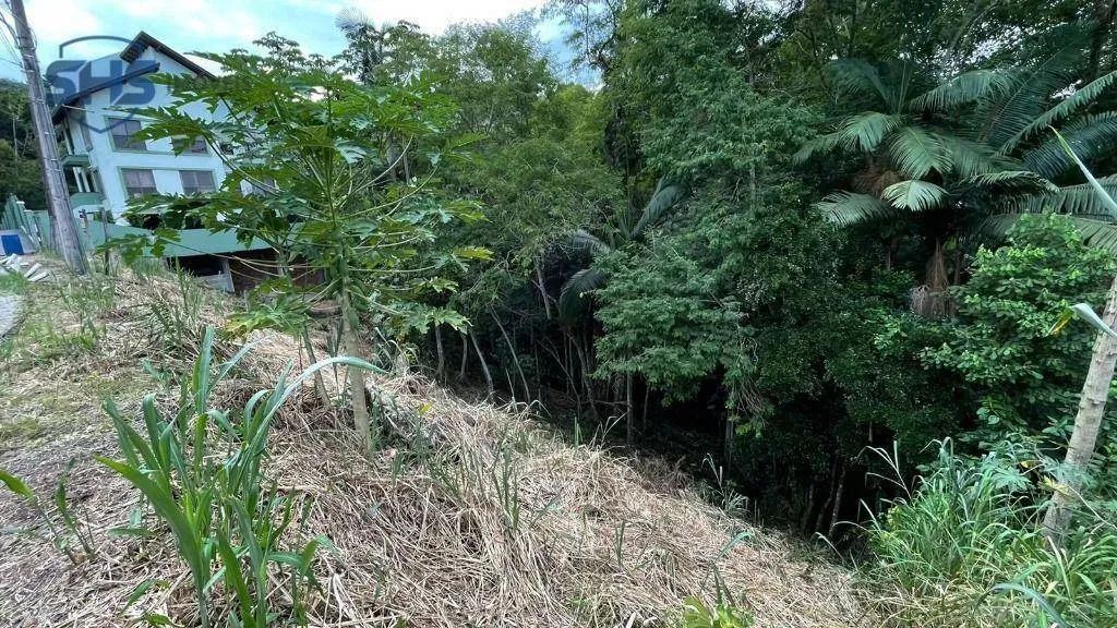 TERRENO NO JARDIM BLUMENAU - Foto 3