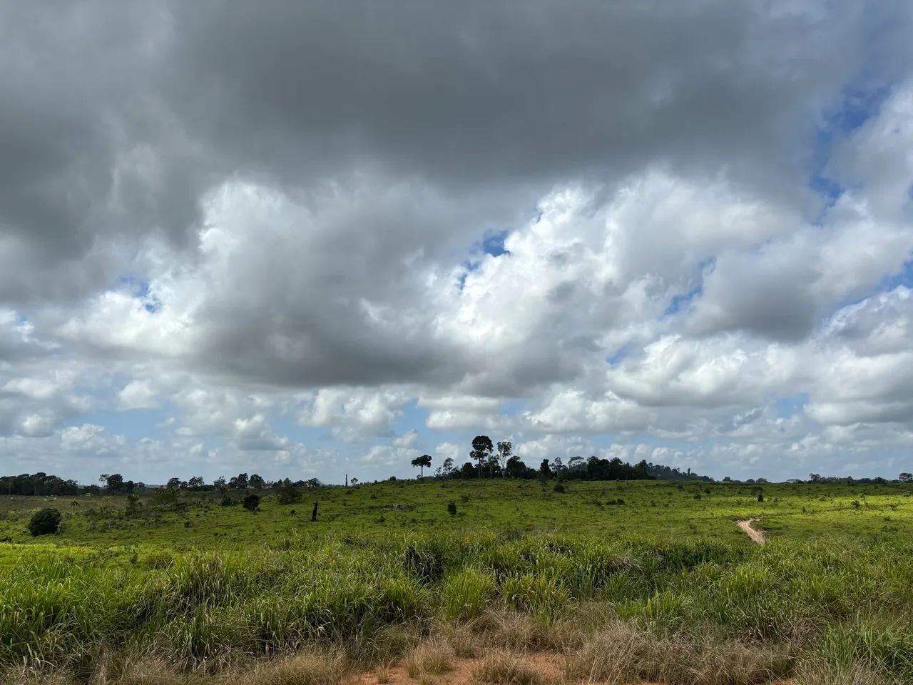 FAZENDA À VENDA - ANAPU/PA - Foto 3