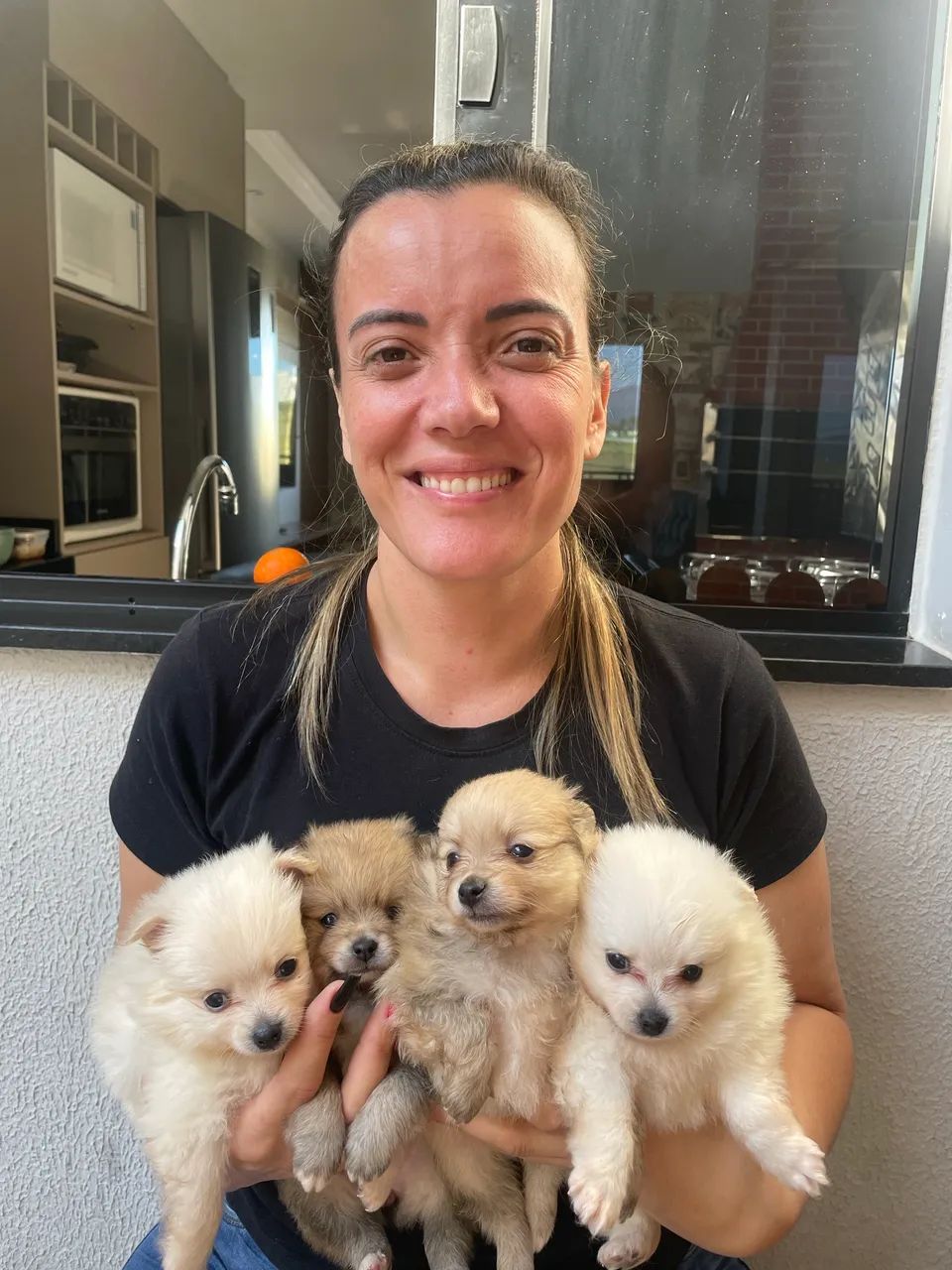 Spitz alemão - Foto 2