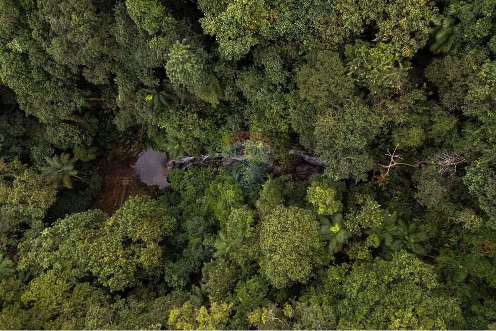 Seu Refúgio Ideal no Campo em Vargem do Cedro - Foto 5