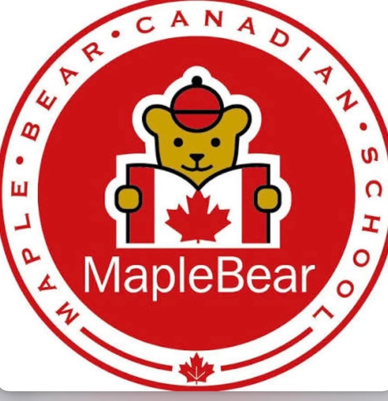 Colégio Bilíngue Maple Bear em São Roque 