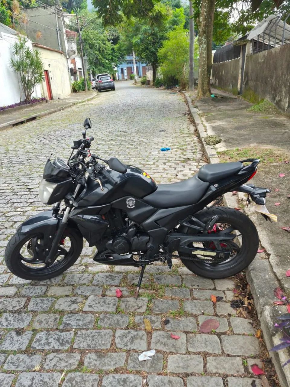 Next 250 cc - Foto 4