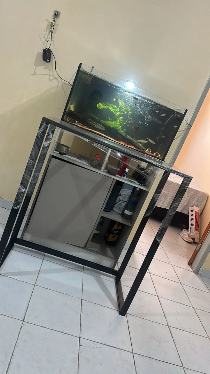 Aquário  - Foto 2