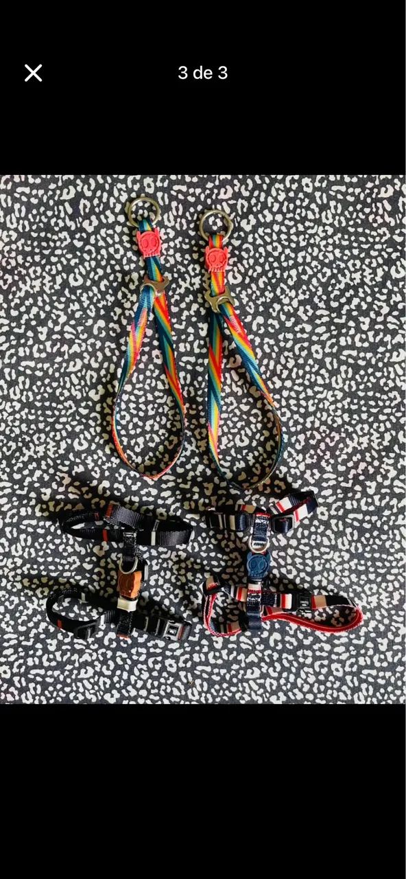 Peitorais Zeedog PP - Foto 2