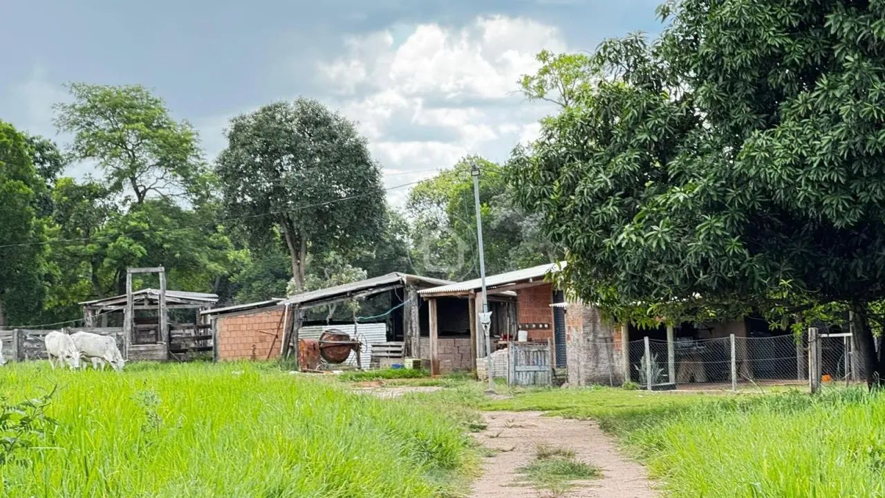 SITIO COM 31 HECTARES FORMADO - Foto 4