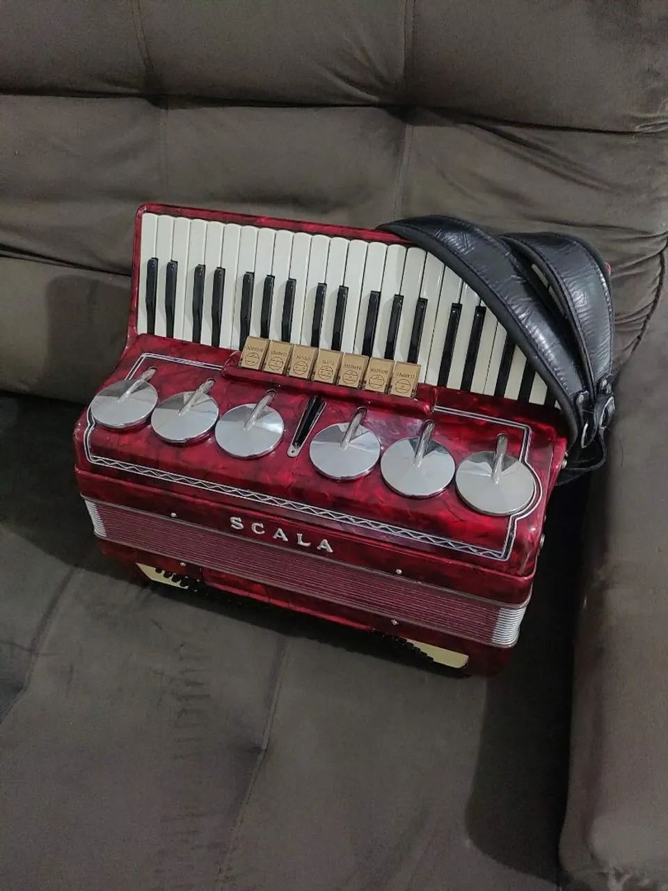 Acordeon  - Foto 2