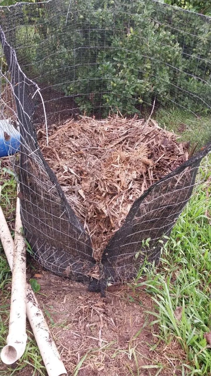 Vende-se Substrato de folha de palmeira, 100% orgânico!!! - Foto 6