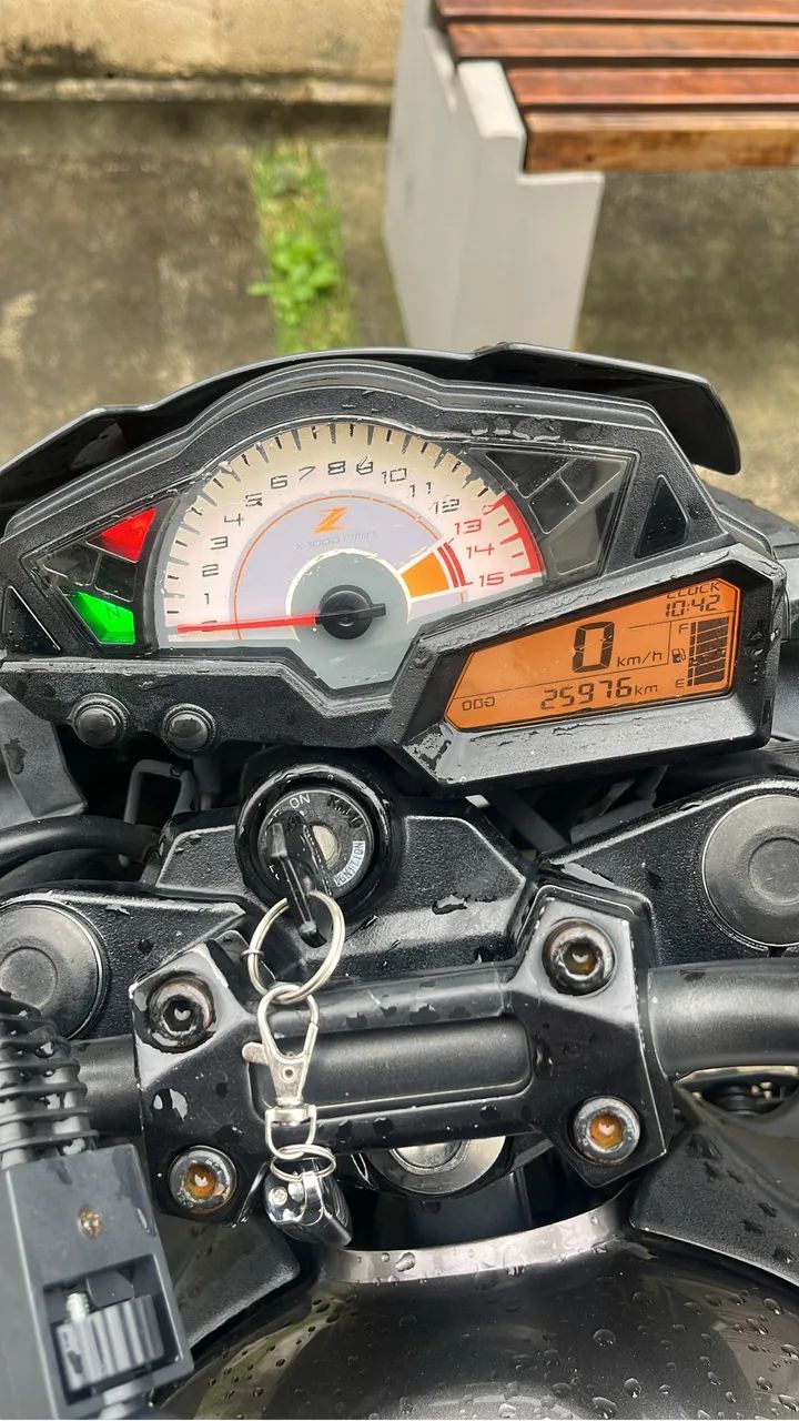 Z300 2018  - Foto 5