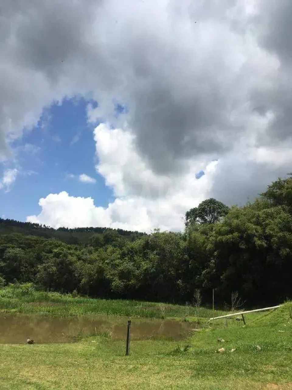 Fazenda - Sítio à venda, Faria - Barbacena/MG - Foto 4
