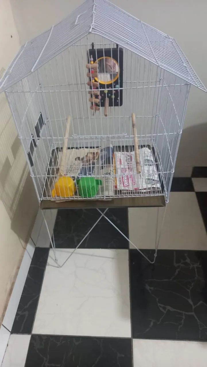 Cage64993720602243121