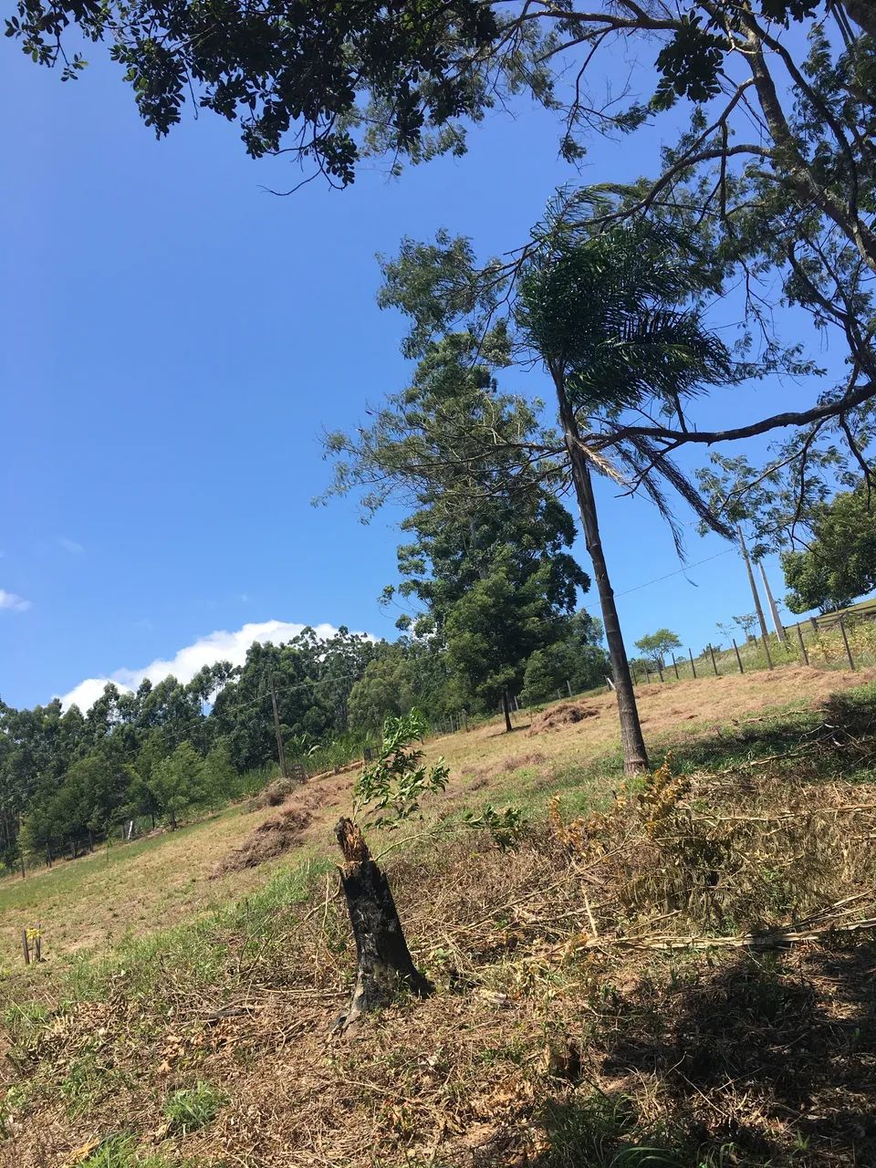 VENDA - Foto 2