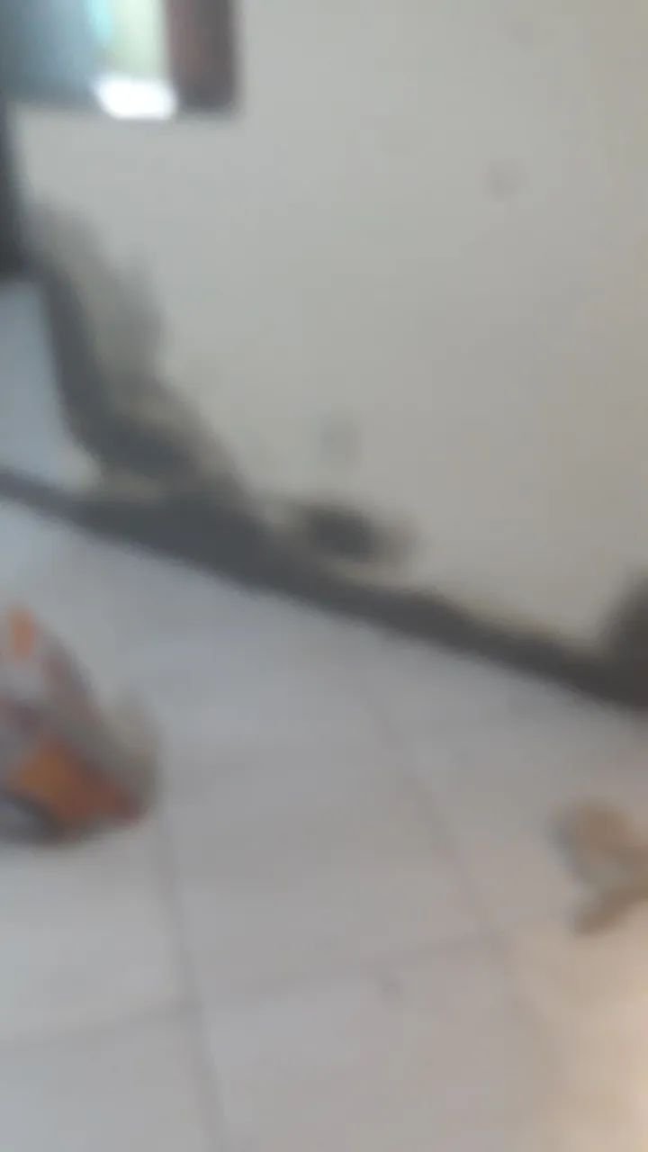 Serviços de pintura em gera *l  - Foto 3