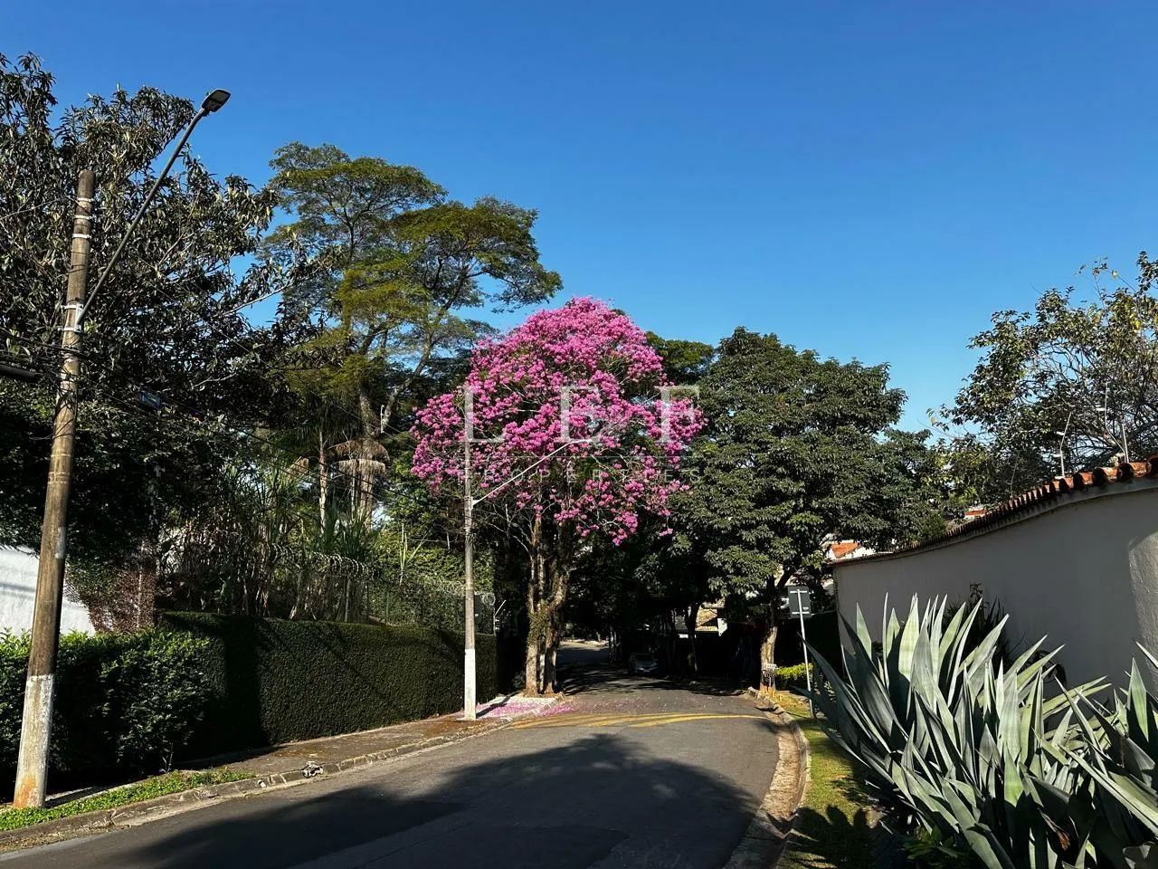 R.Rubens do Amaral,S/N - Morumbi - Terreno - Foto 2