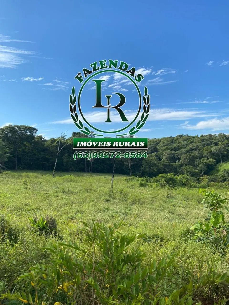 Chácara 89 Hectares   Entre  Palmas e Aparecida - Foto 5
