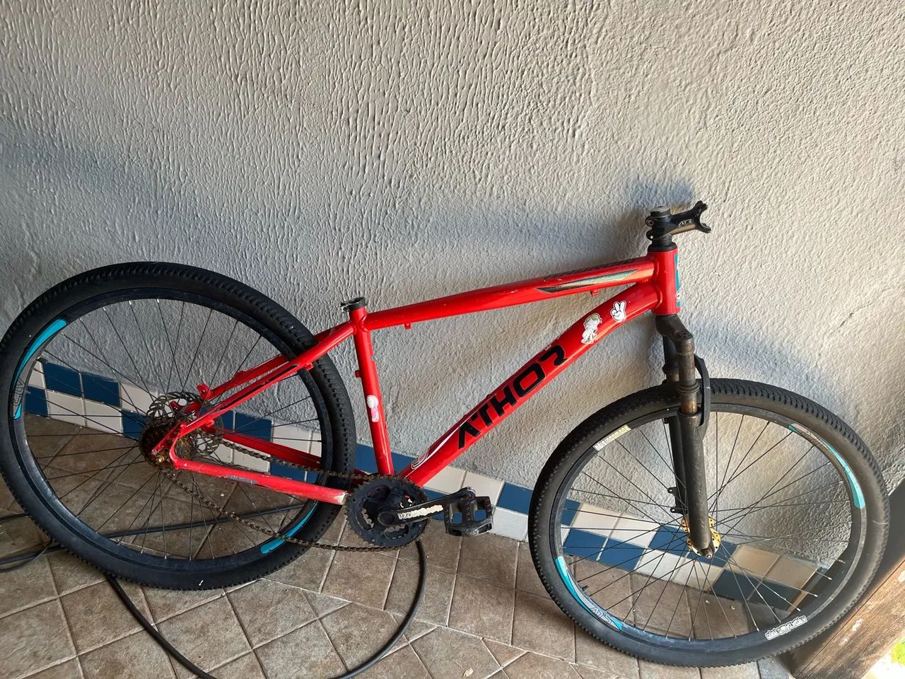 Bicicleta