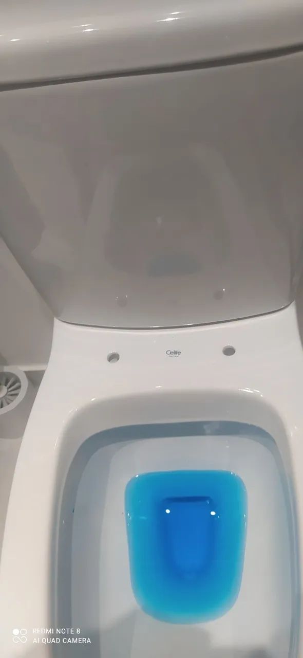 Vaso sanitário novo cellite 