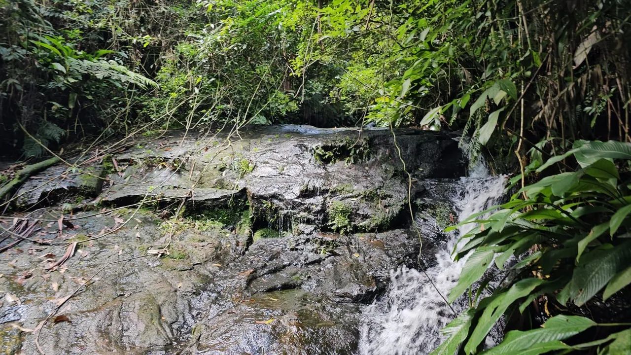 Chácara com cachoeira  - Foto 3