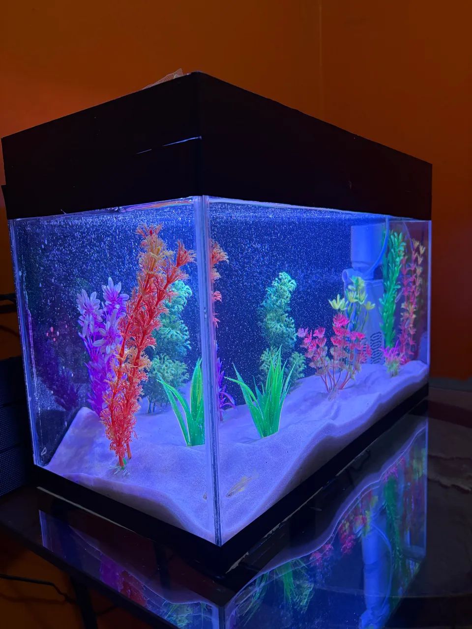 Aquário 30L - Foto 2