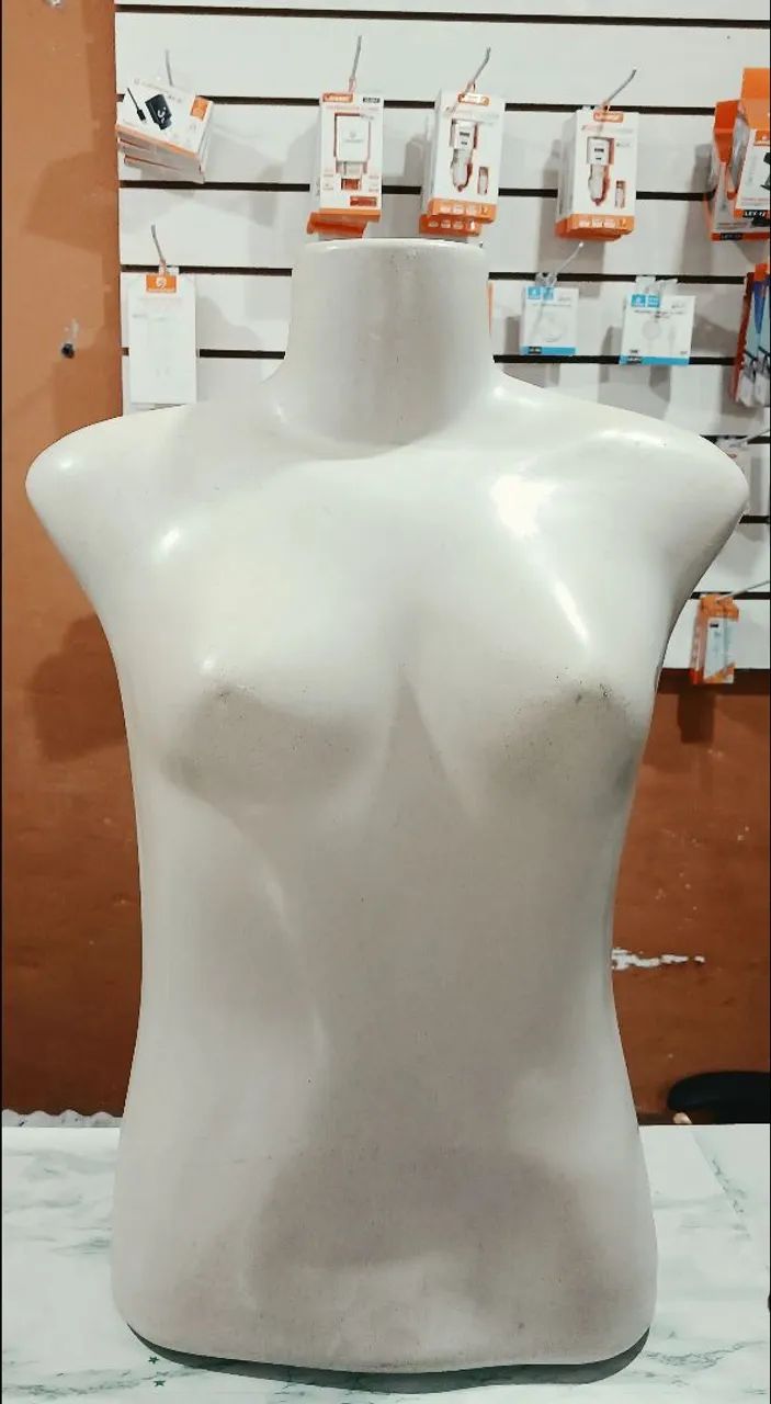Vendo Esses Manequins e Bustos - Foto 5