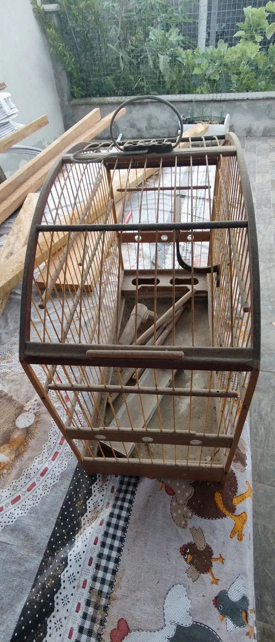 gaiola coleira  - Foto 2