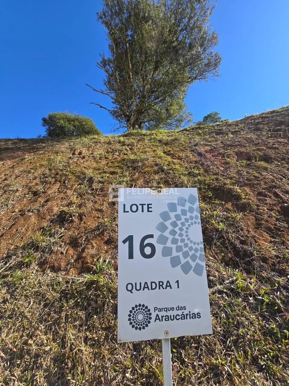 Terreno / Lote / Condomínio em Centro - Rancho Queimado - Foto 2