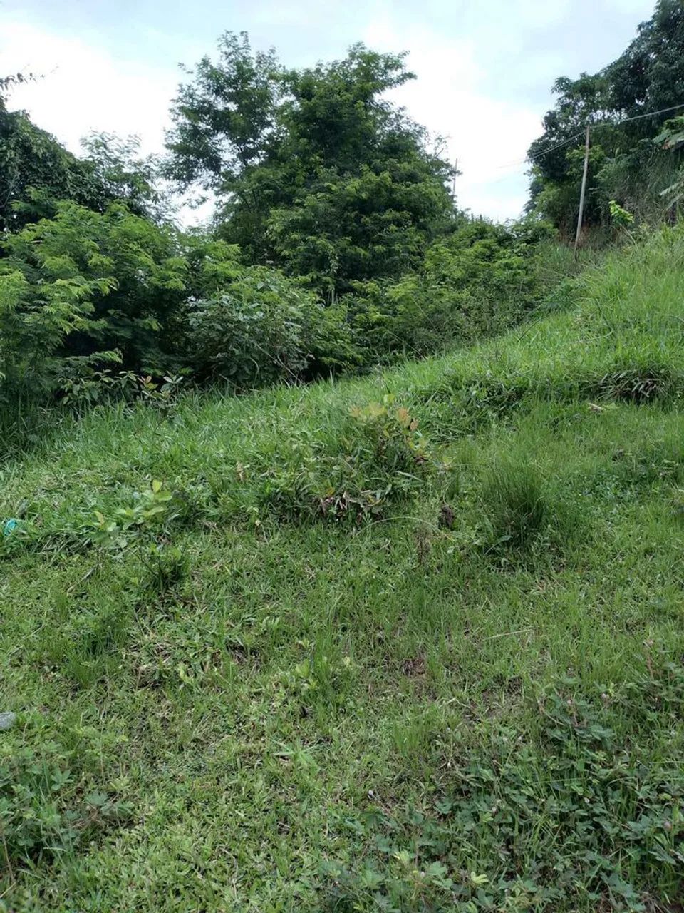 Terreno subida de braçana - Foto 2