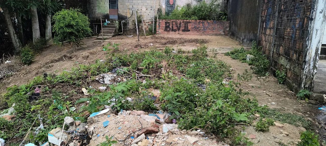 Terreno  - Foto 3
