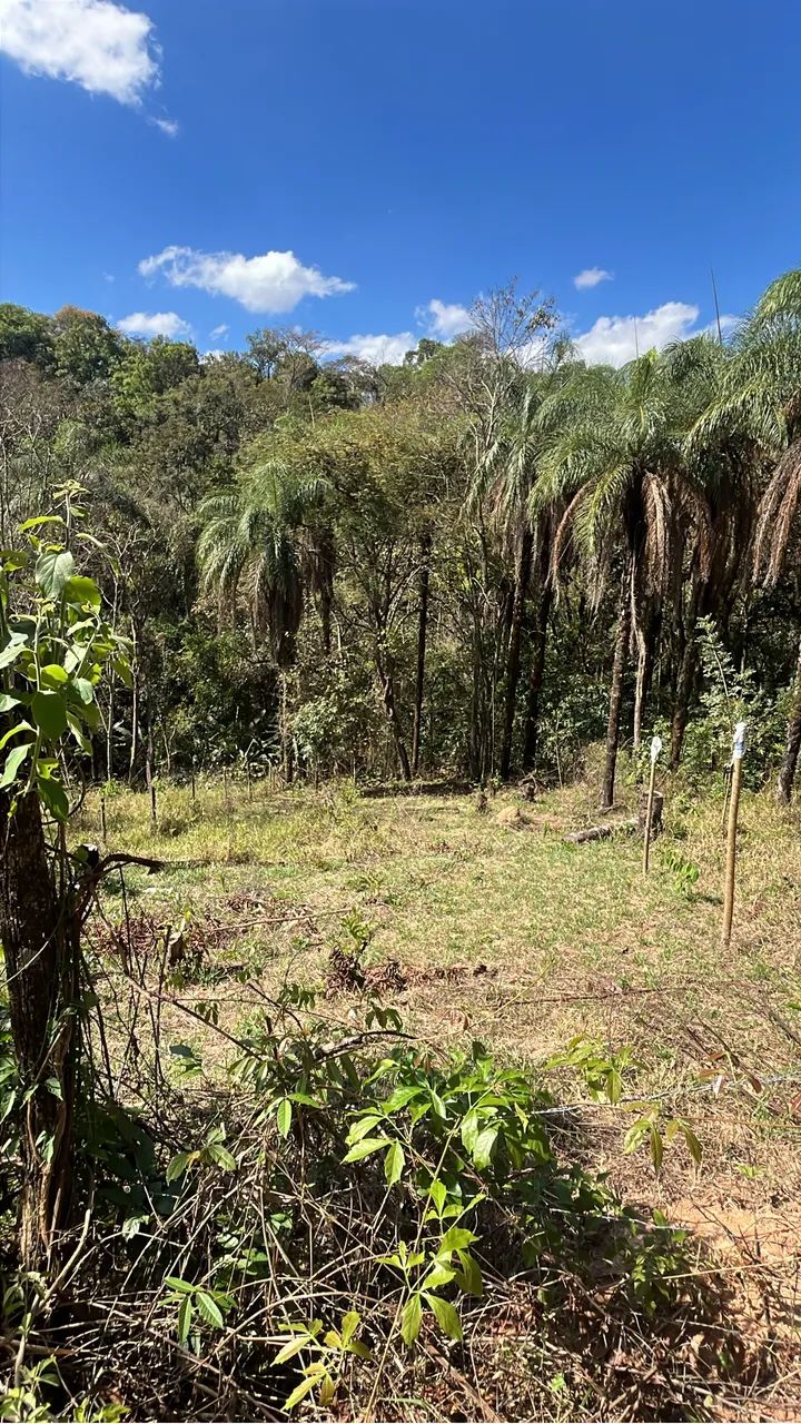 Lote 330m² em Juatuba - 6 min do Centro + Área Verde e Riacho - Foto 2