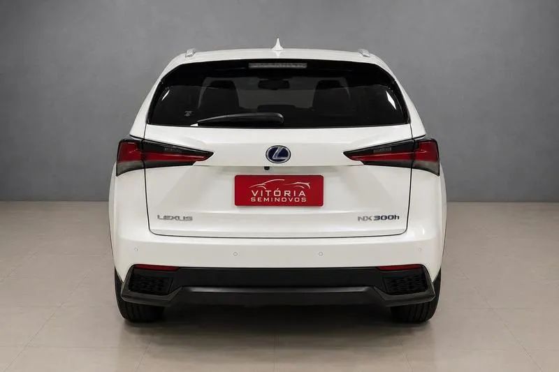 Lexus NX-300 H F-sport 2.5 16V Aut., foto 5 de 19