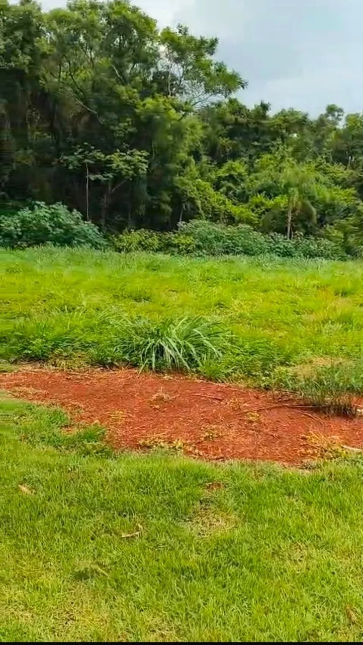 TERRENO ESTÂNCIA ZAUNA - Foto 3
