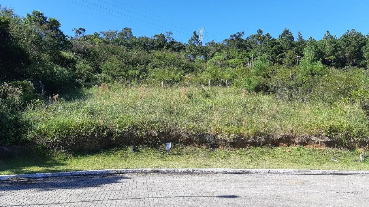 Terreno em loteamento de alto padrão - Foto 4