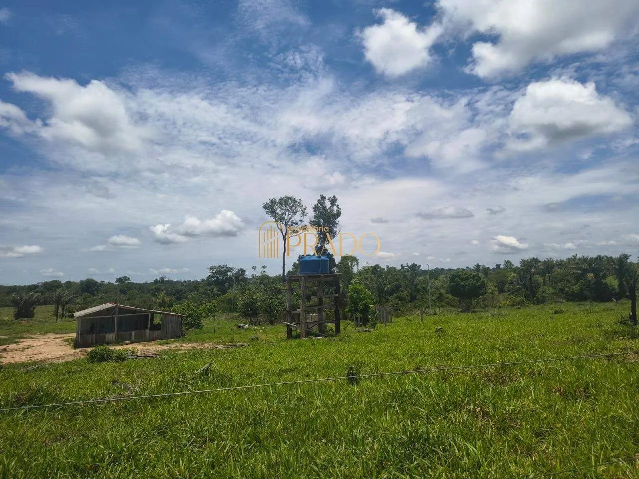 FAZENDA PRODUTIVA À VENDA - Foto 2