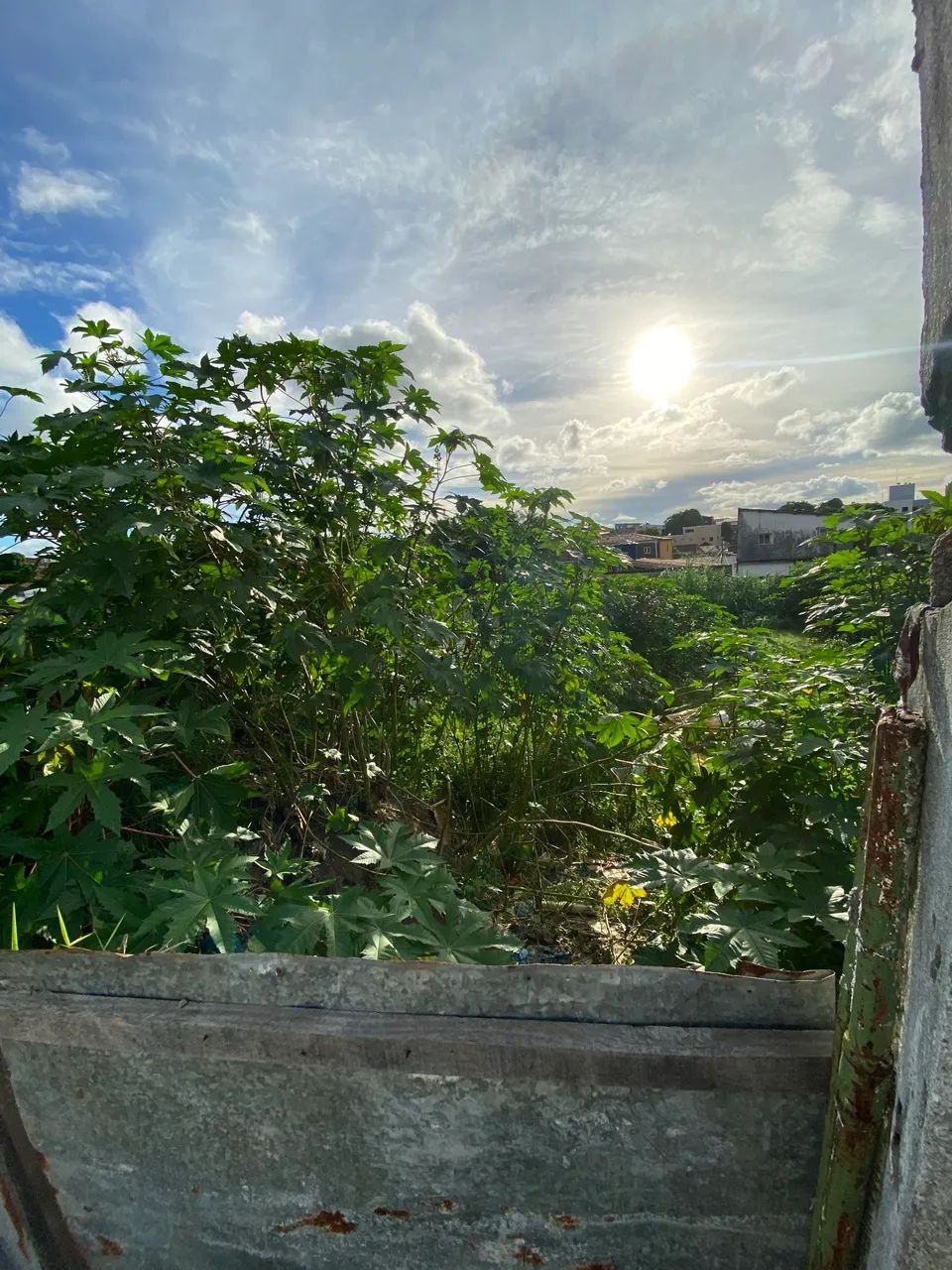 VENDO E TROCO TERRENO EM CRUZ DAS ARMAS  - Foto 5
