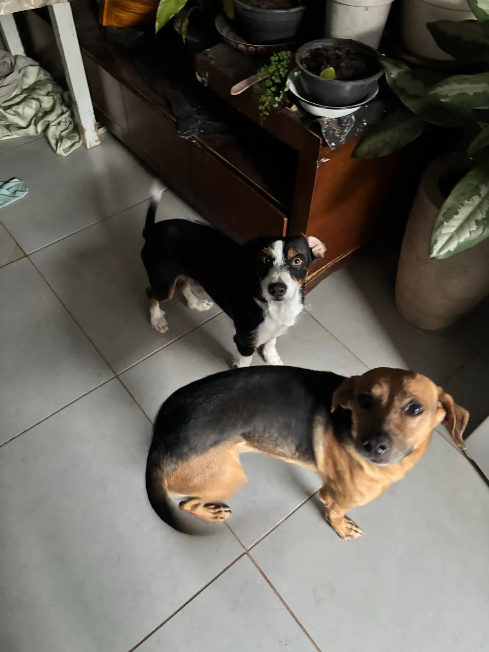 DOAÇÃO 