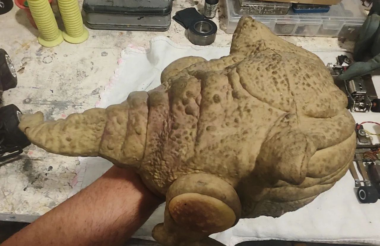 Bogs Estrela  - Foto 3