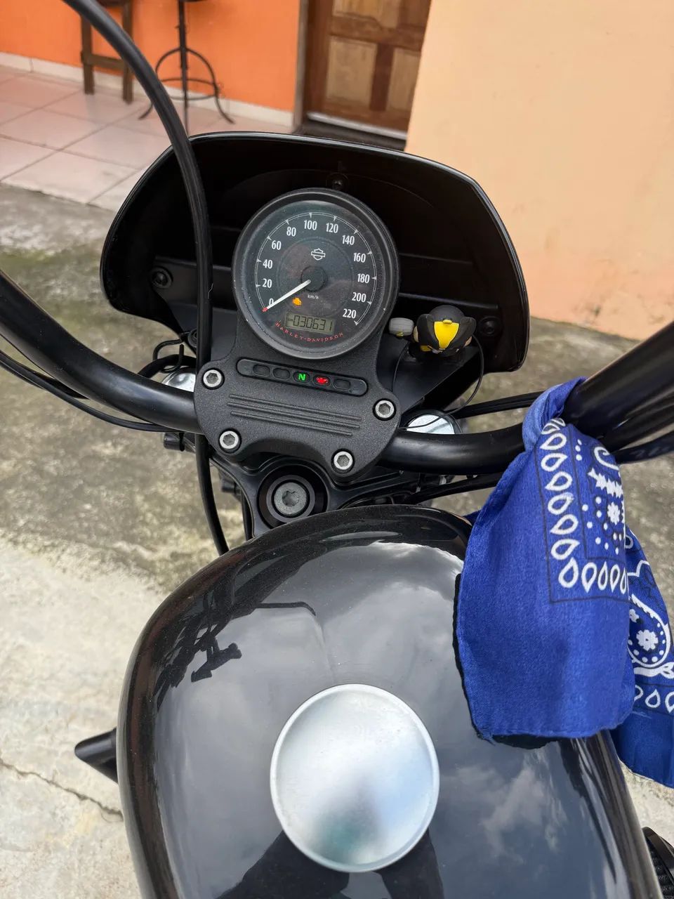 Iron 1200 - Foto 4